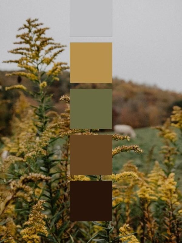 93735d74048e864030959f8820b80651