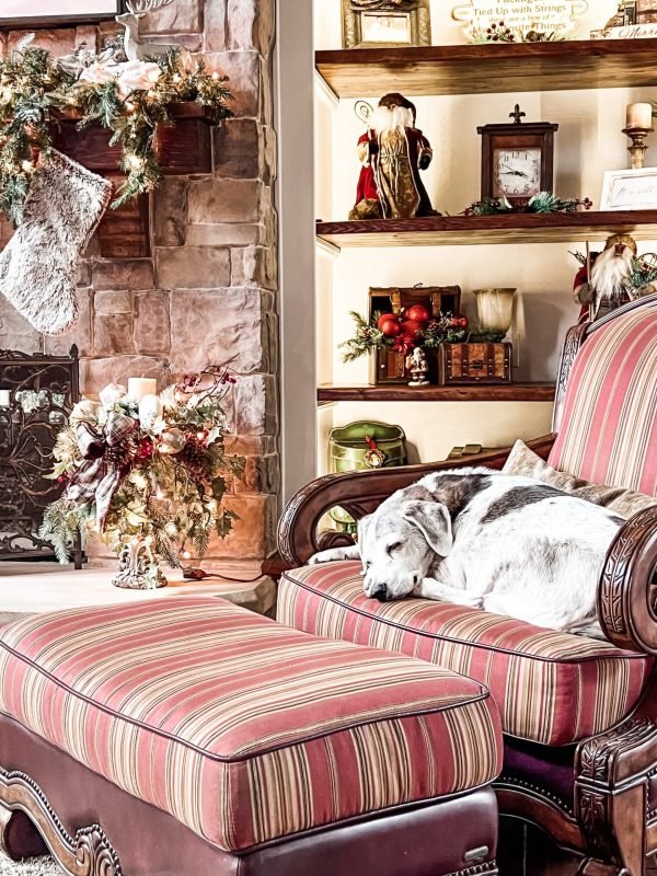 IMG_4824_jpg IMG_4824_jpg